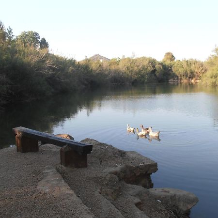 Oasis Country Park Hotel Rugat Bagian luar foto