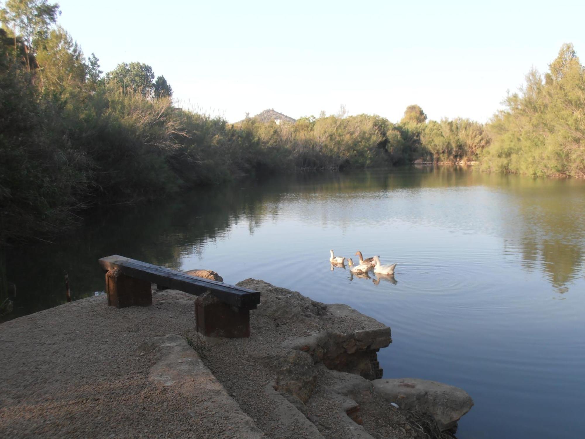 Oasis Country Park Hotel Rugat Bagian luar foto