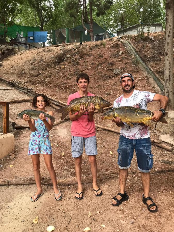 Oasis Country Park Hotel Rugat Bagian luar foto